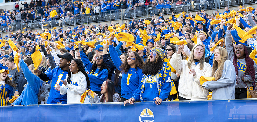 Crowd of Pitt football fans cheer in the stadium