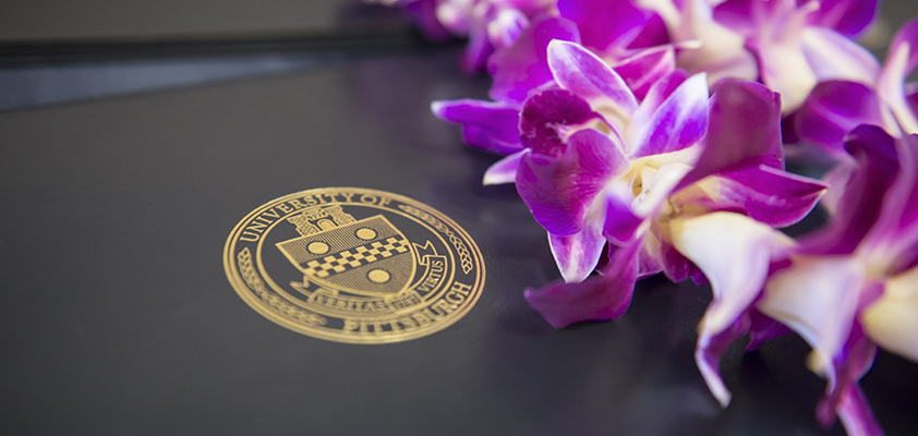 Close-up of folder with Pitt shield and pink flowers