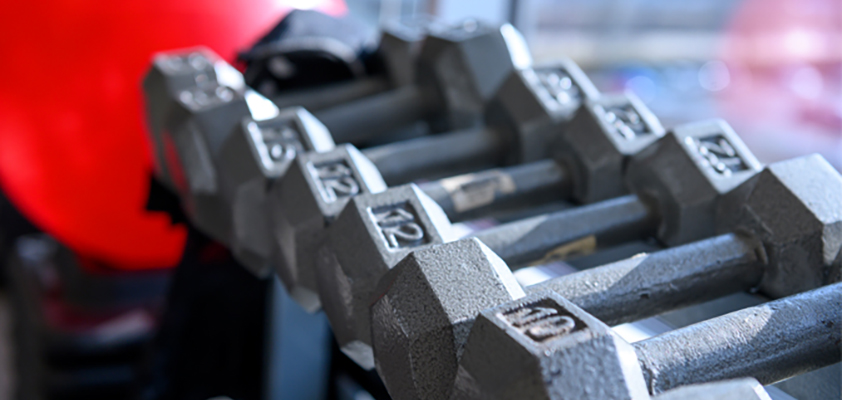 A row of hand weights on a rack