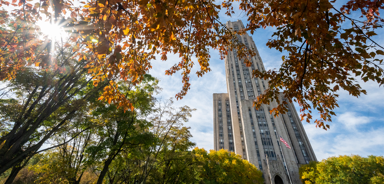Pitt's Cathedral of Learning viewed from the trees at sunrise