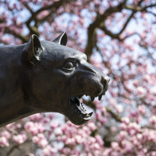 Panther statue with cherry blossom tree