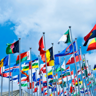 Rows of colorful flags from dozens of countries